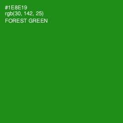 #1E8E19 - Forest Green Color Image